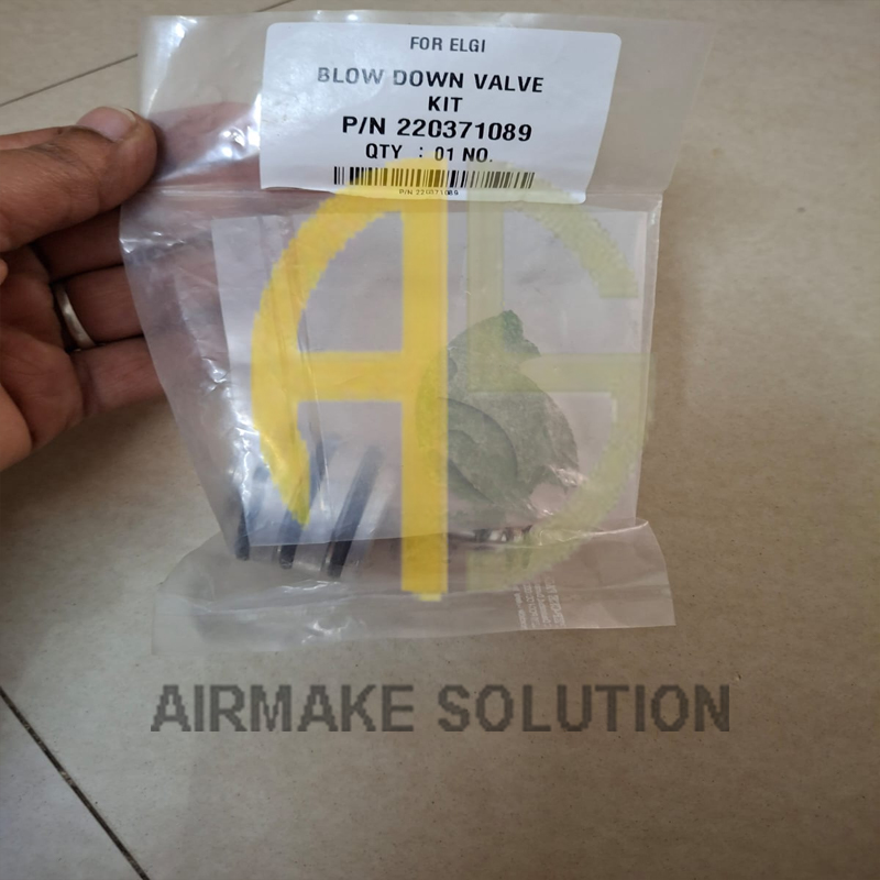 BLOW DOWN VALVE KIT 220371089