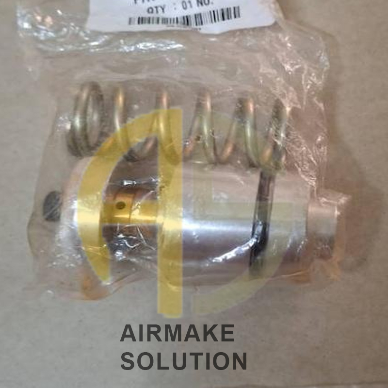 ELGI Minimum Pressure Valve Kit 220210529
