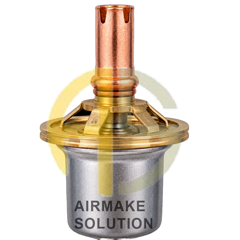 Thermostatic Valve 47521495005