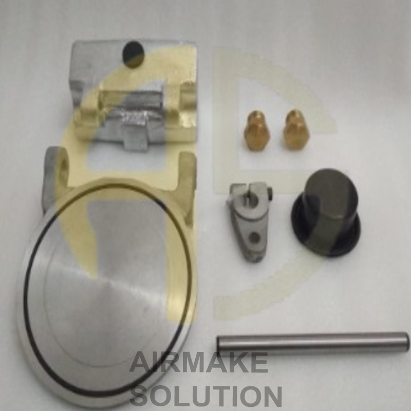 B009401070002 ELGi Intake Valve Kit
