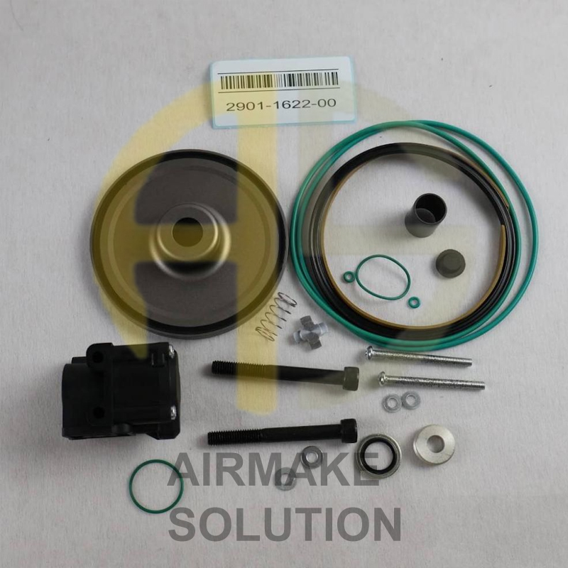 290116220 Unloader Valve Overhaul Kit