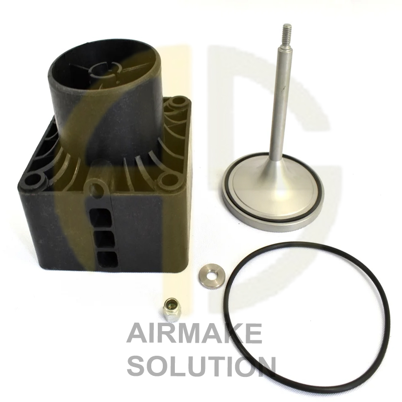 2901200652 Intake Valve Kit
